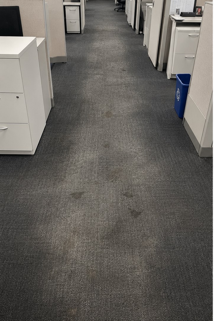 Before: Commercial cubicle aisle off Exit 1 — spills and ground-in soil pulled from the carpet tile after hours so staff walked in on a fresh floor at 7 a.m.