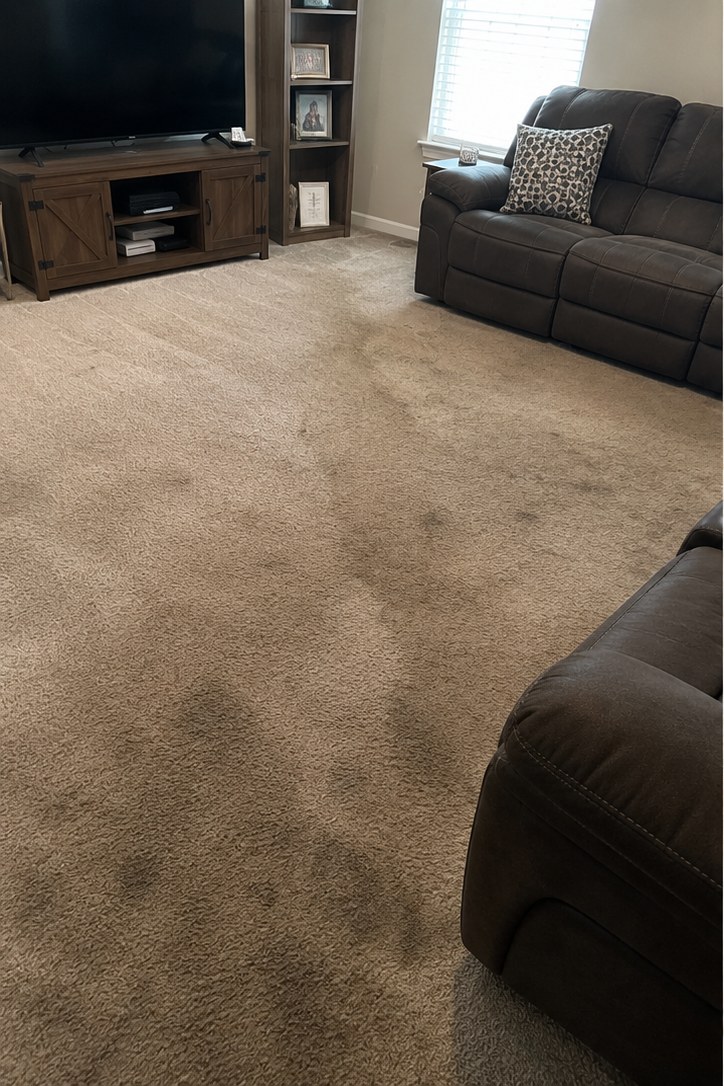 Before: Sango family living room — heavy traffic-lane soil in front of the sectional was lifted with hot-water extraction. Pile groomed, dry in about 5 hours.